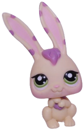#1845 Rabbit